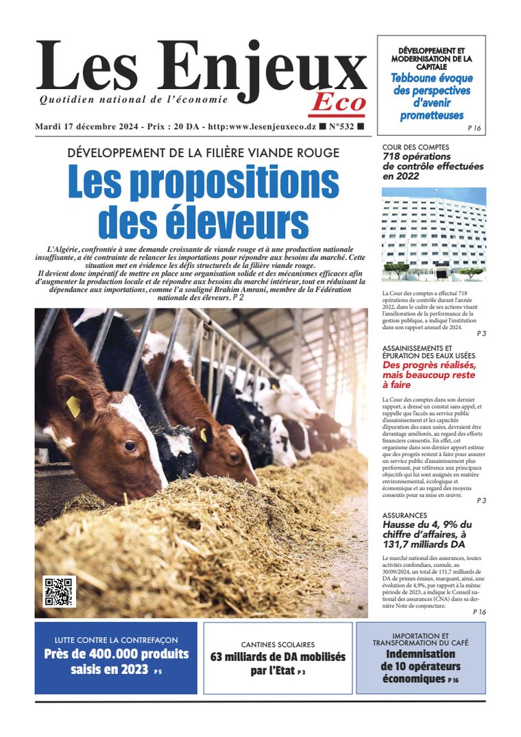 Une du journal Les Enjeux Eco numéro 532