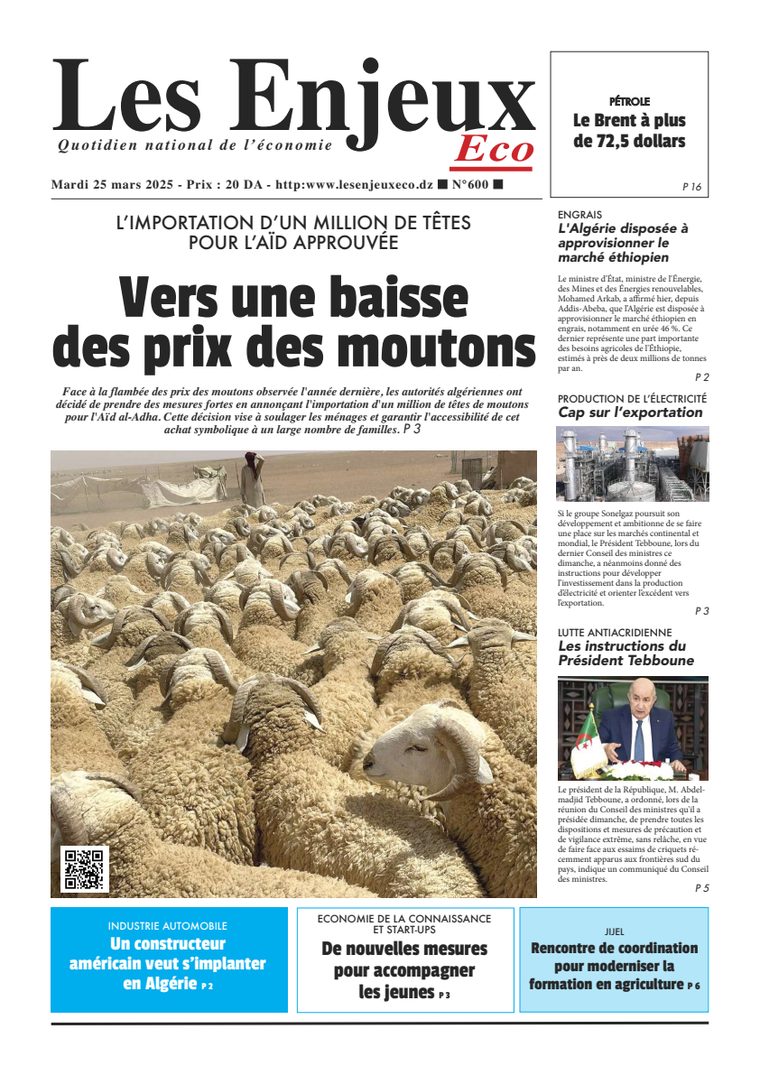 Une du journal Les Enjeux Eco numéro 600