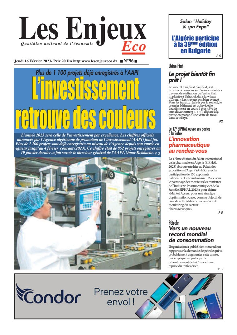 Une du journal Les Enjeux Eco numéro 96