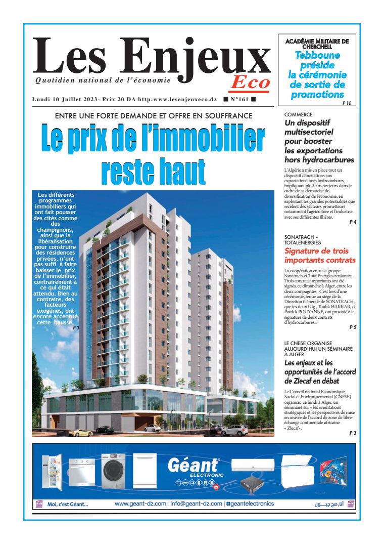 Une du journal Les Enjeux Eco : GRILLE