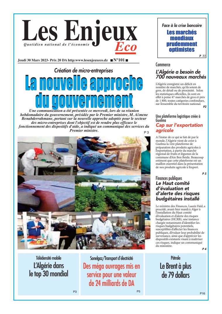 Une du journal Les Enjeux Eco : GRILLE
