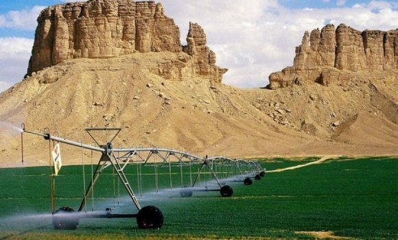 Italie investit dans le Sud algérien