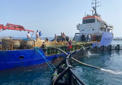 Aquaculture : la production nationale devrait doubler durant l&rsquo;année 2026