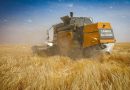 Projet intégré algéro-qatari « Baladna »: Lancement de la moisson d&rsquo;orge à Adrar