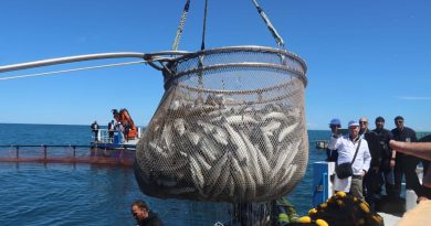 Production halieutique: L’Algérie vise 20 000 tonnes d’ici 2027