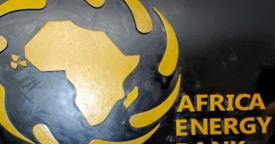Lancement de la Banque africaine de l&rsquo;énergie: “Les préparatifs vont bon train”